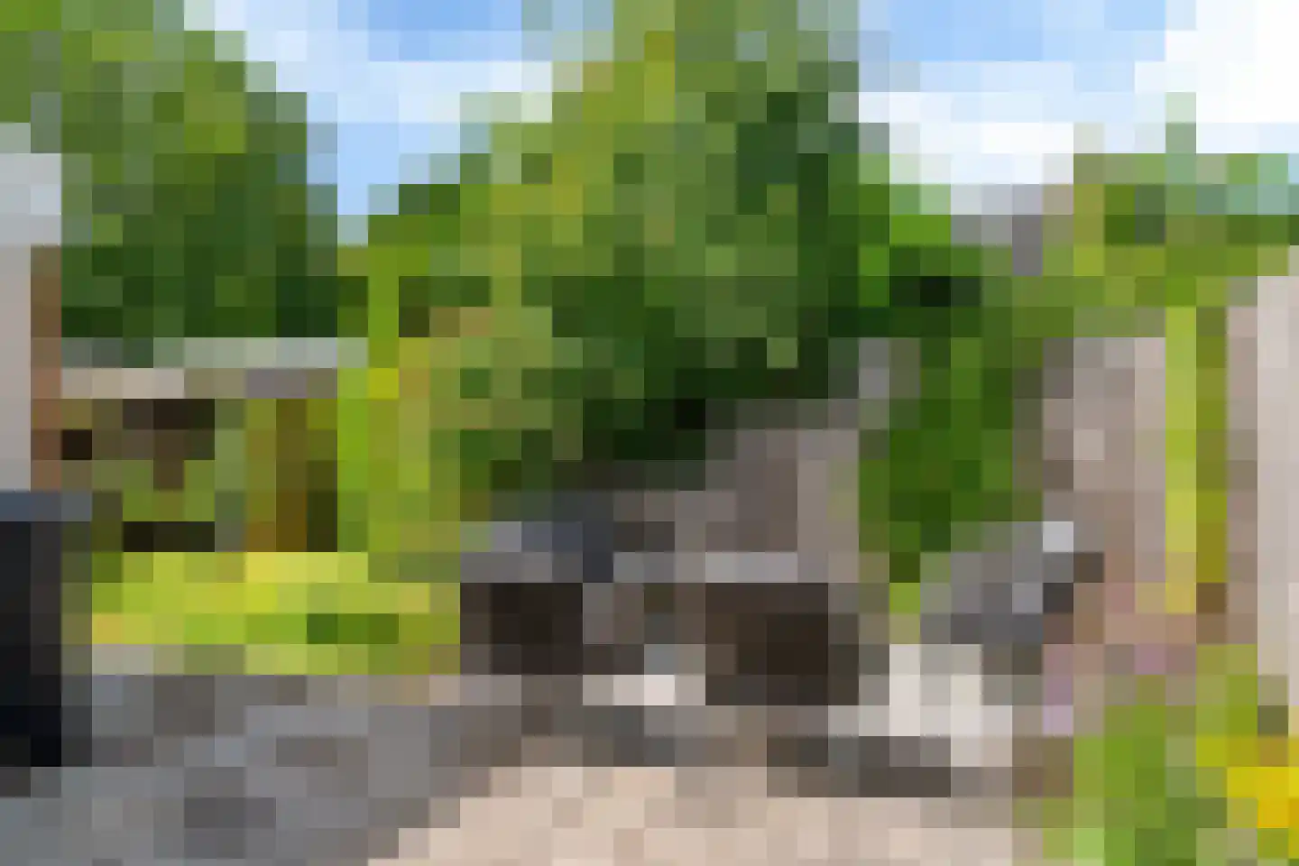 De Rival 16 Drachten thumbnail 9