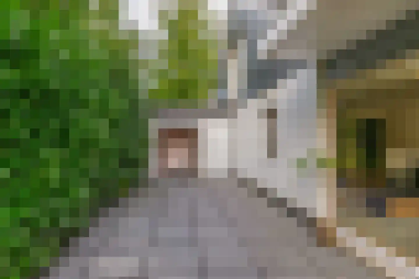 De Rival 19 Drachten thumbnail 41