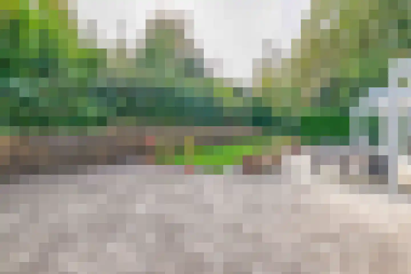 De Rival 19 Drachten thumbnail 50