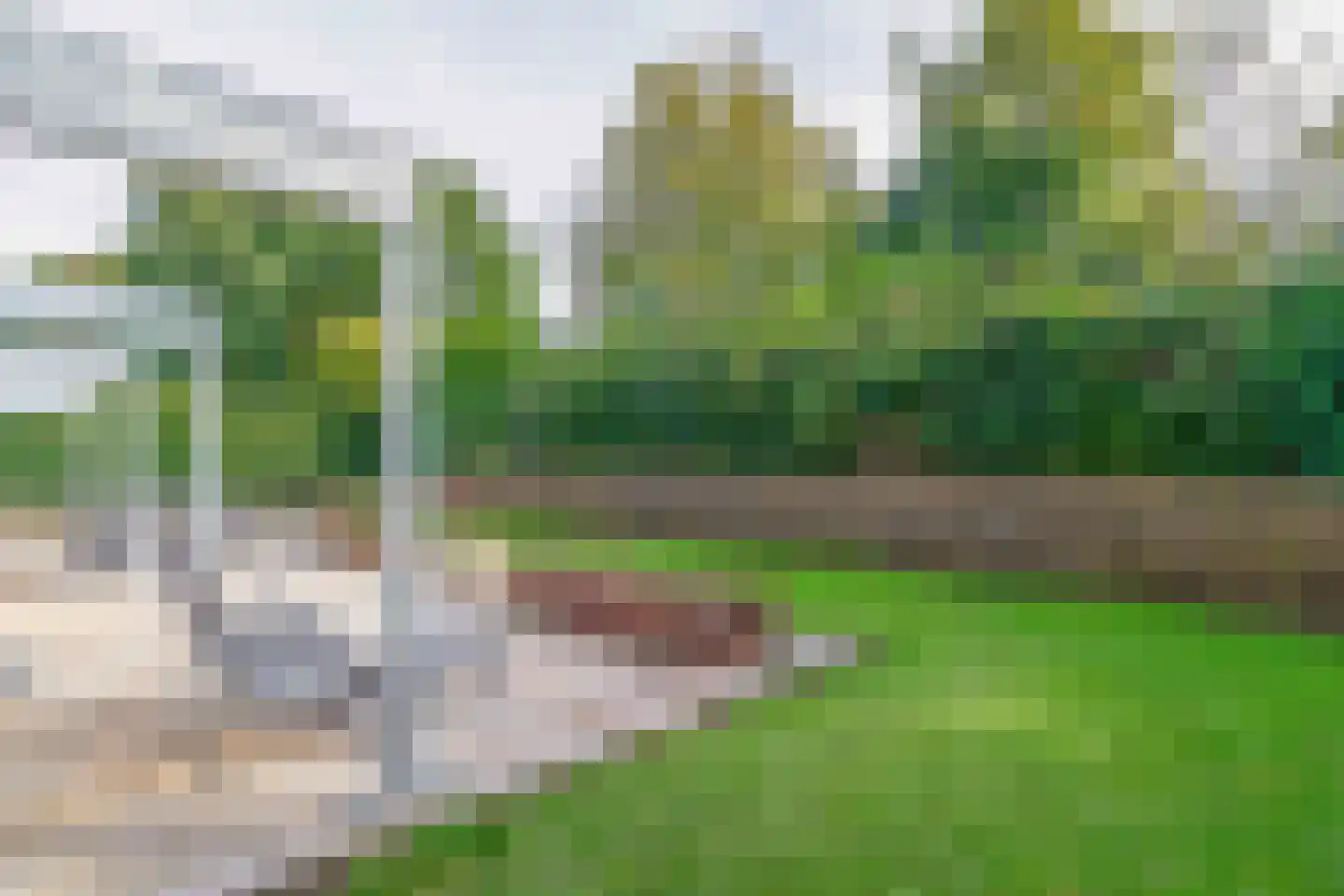 De Rival 19 Drachten thumbnail 51