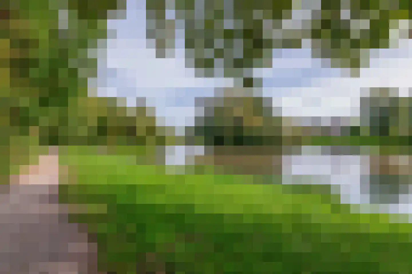 De Rival 19 Drachten thumbnail 58