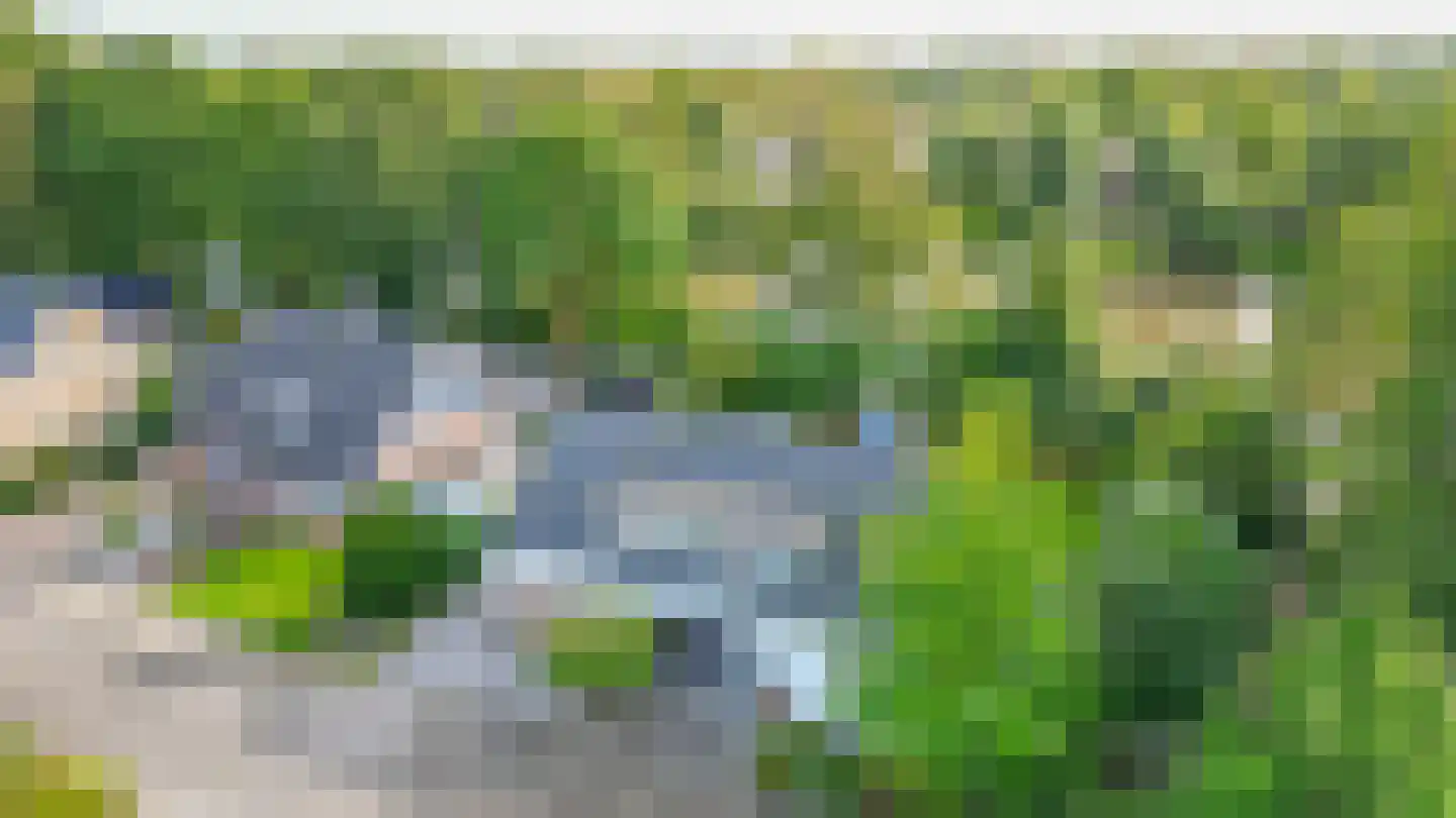 De Rival 19 Drachten thumbnail 59