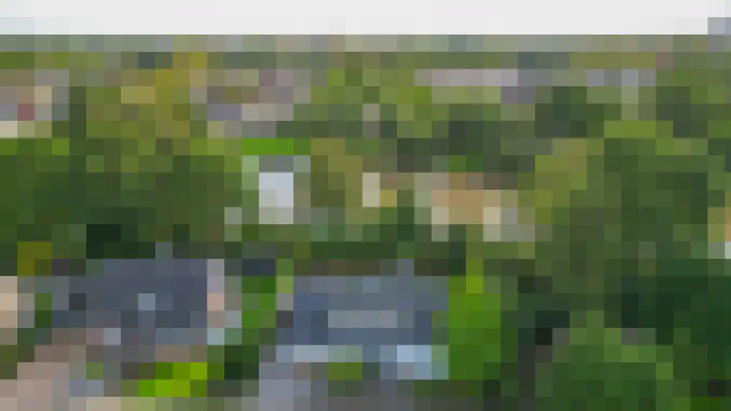De Rival 19 Drachten thumbnail 60