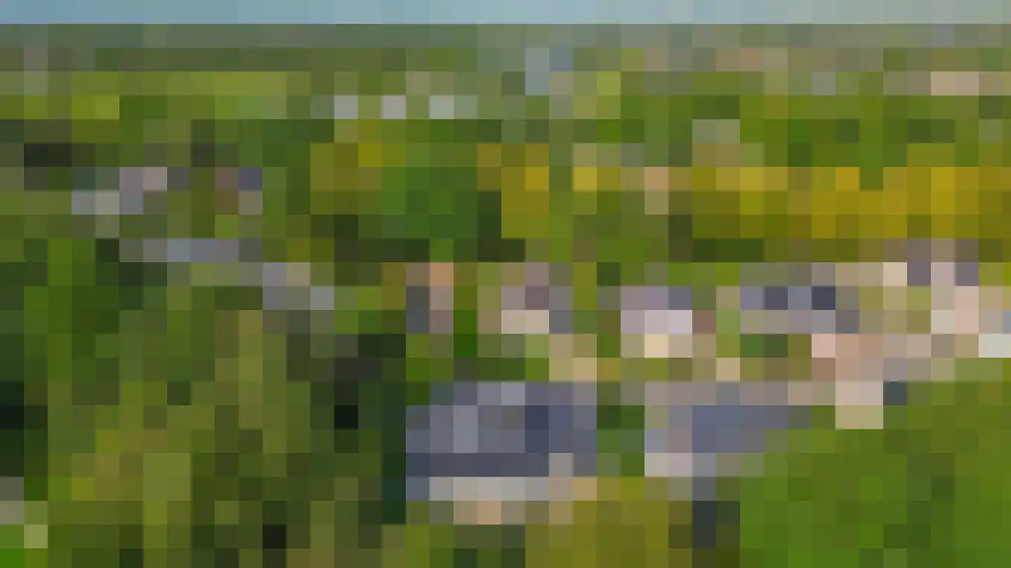 De Rival 19 Drachten thumbnail 62