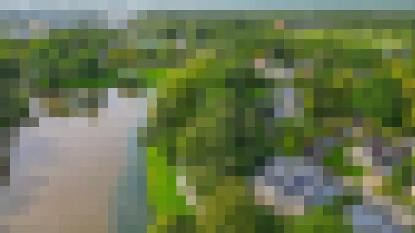 De Rival 19 Drachten thumbnail 63