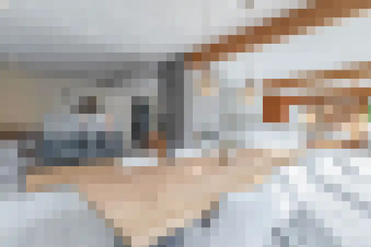 De Rival 19 Drachten thumbnail 8