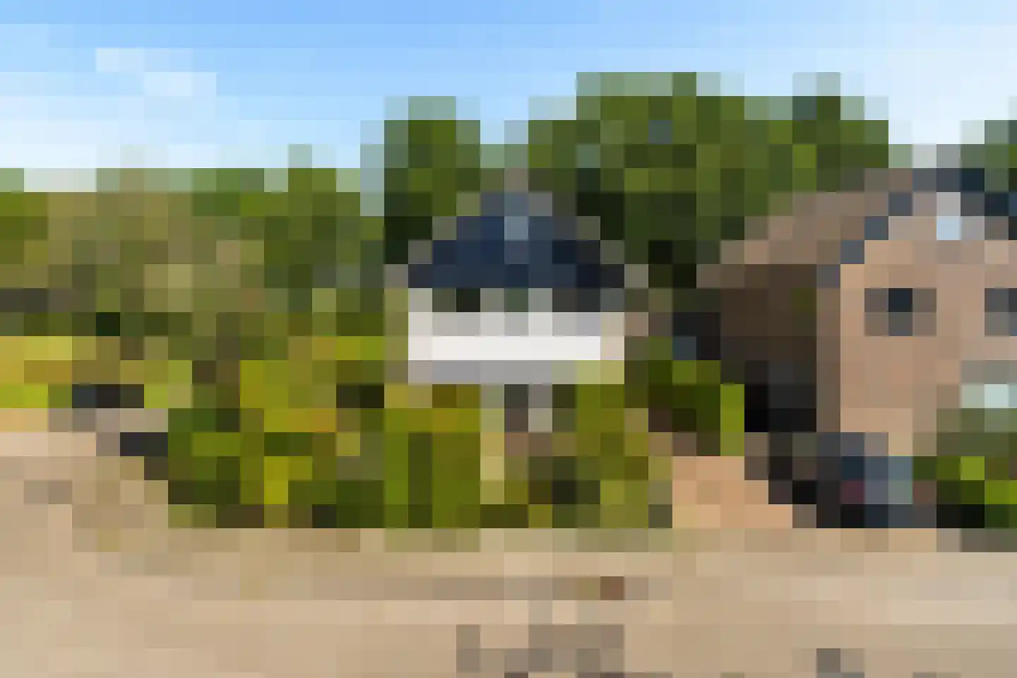 De Rival 24 Gorredijk thumbnail 35