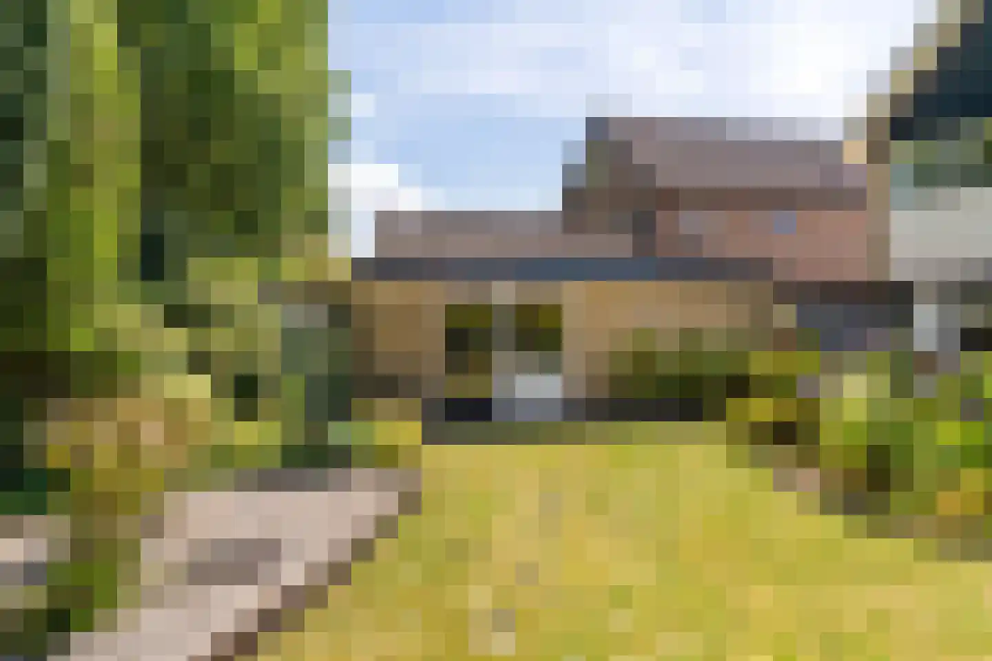De Rival 24 Gorredijk thumbnail 37