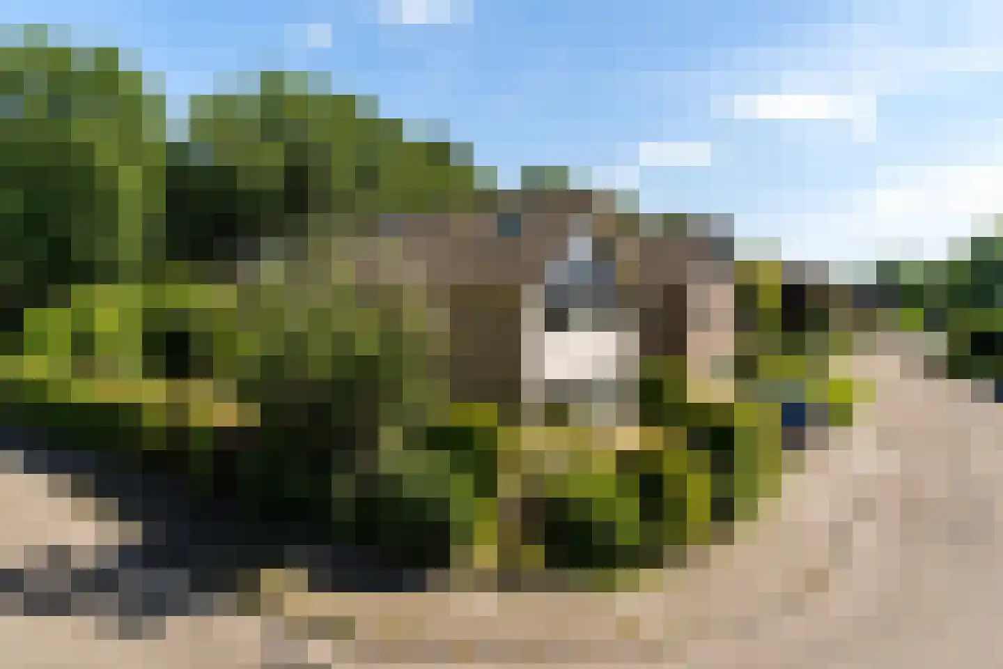 De Rival 24 Gorredijk thumbnail 4