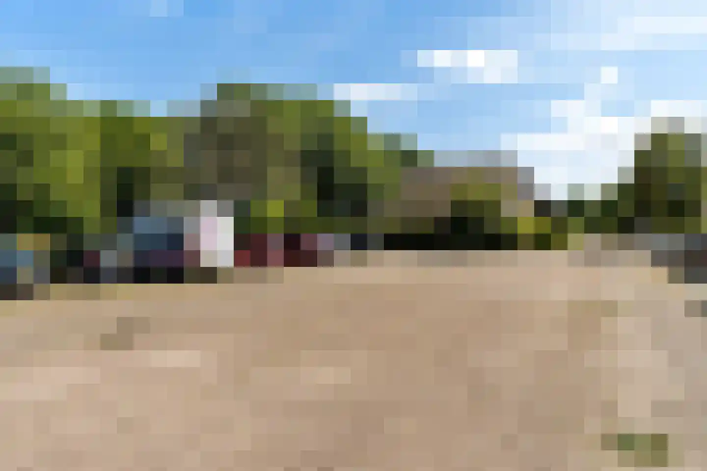 De Rival 24 Gorredijk thumbnail 44
