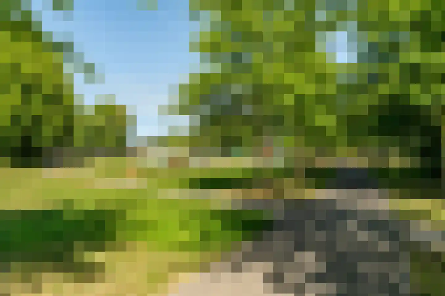 De Rival 24 Gorredijk thumbnail 45