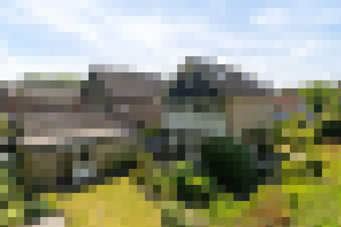 De Rival 24 Gorredijk thumbnail 5