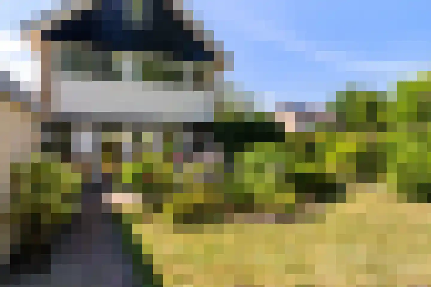 De Rival 24 Gorredijk thumbnail 6