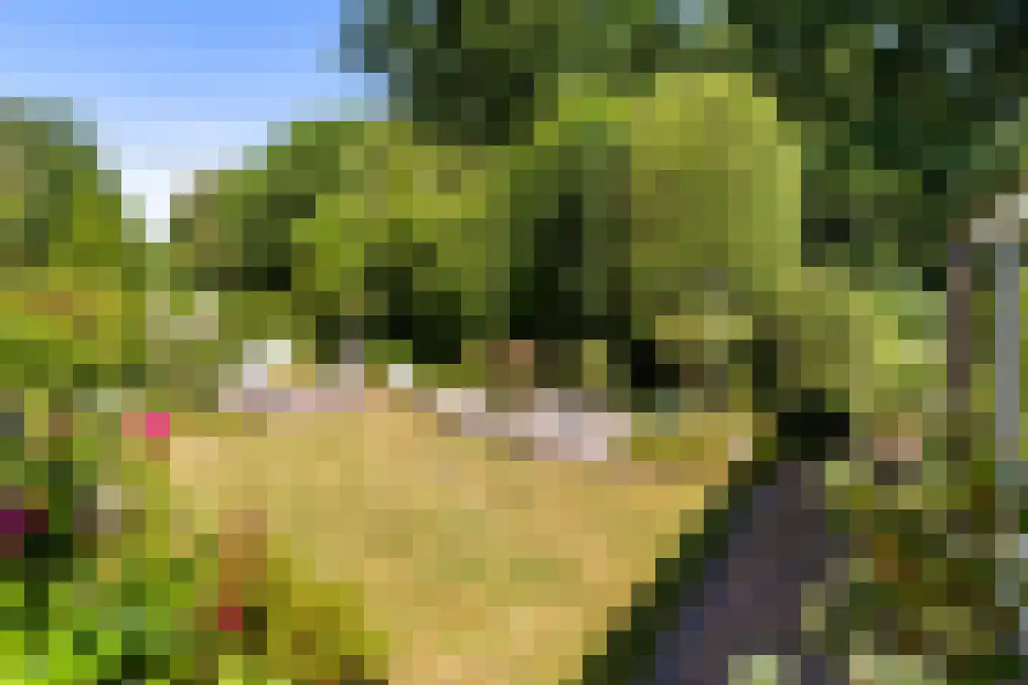 De Rival 24 Gorredijk thumbnail 7
