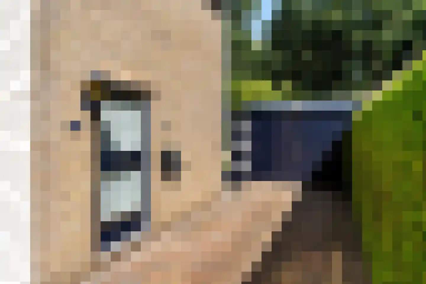 De Rival 24 Gorredijk thumbnail 9