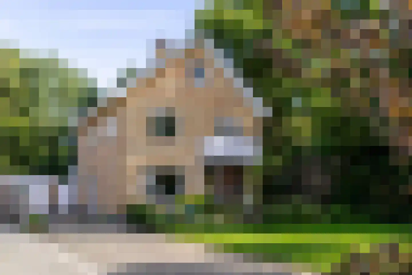 De Rival 31 in Gorredijk