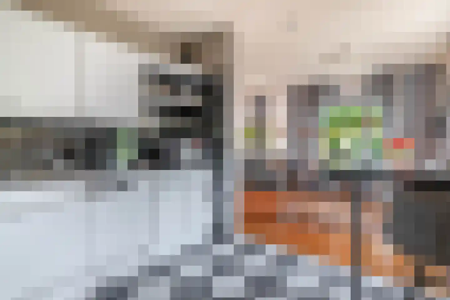 De Rival 6 Drachten thumbnail 15
