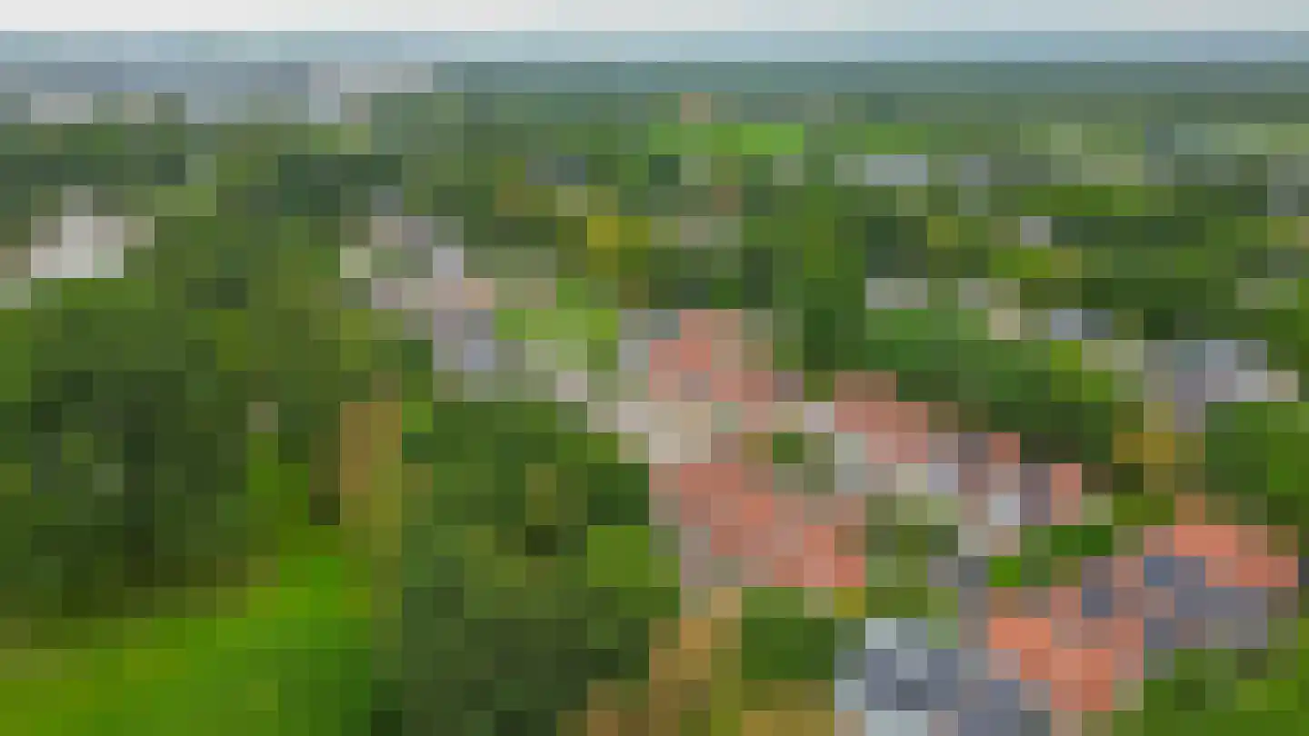 De Rival 6 Drachten thumbnail 4