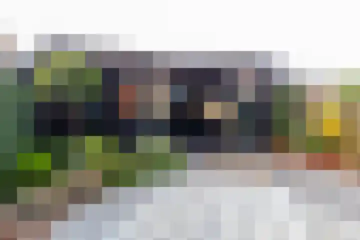 De Rivierenlaan 33 Poeldijk thumbnail 21