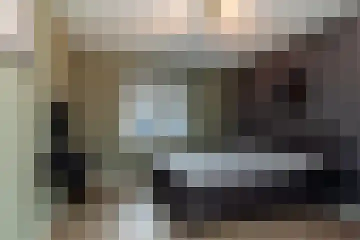De Rivierenlaan 33 Poeldijk thumbnail 31
