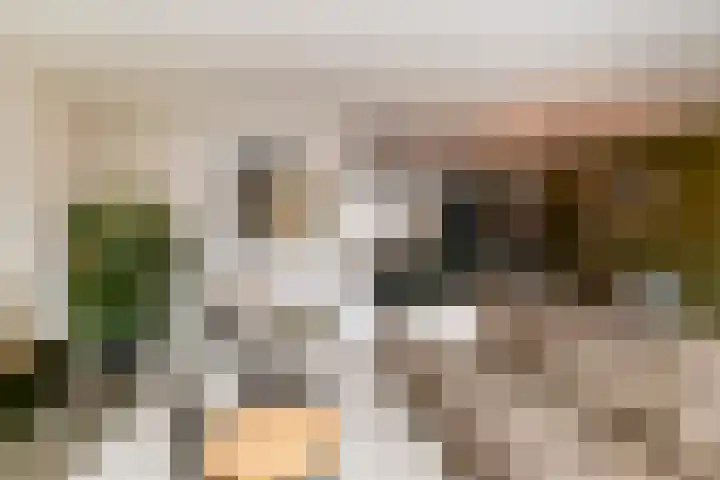 De Rivierenlaan 33 Poeldijk thumbnail 8