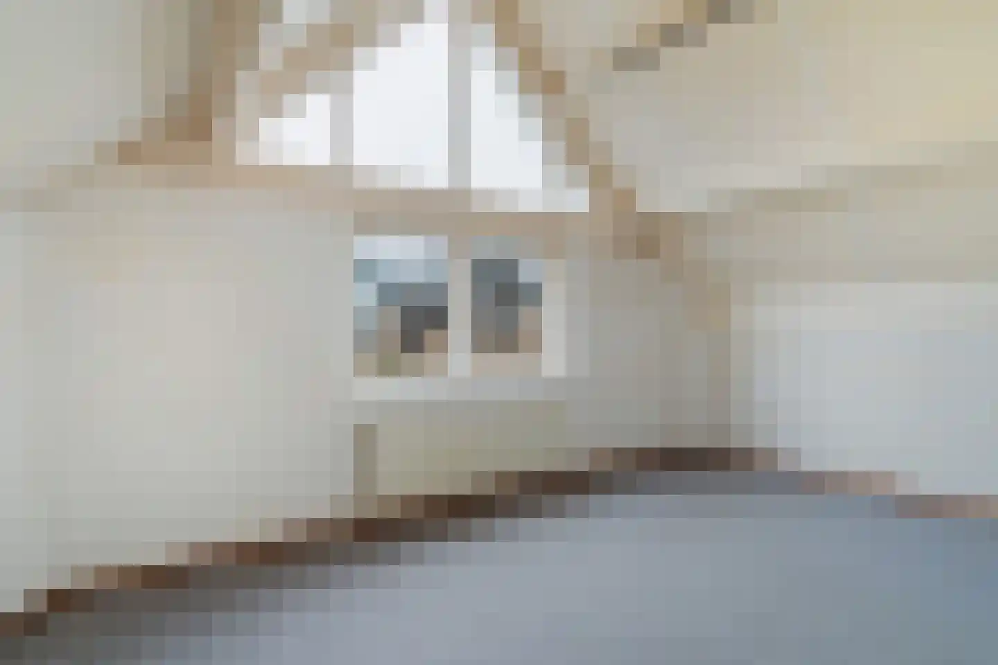 De Rode Haan 5 Soest thumbnail 12