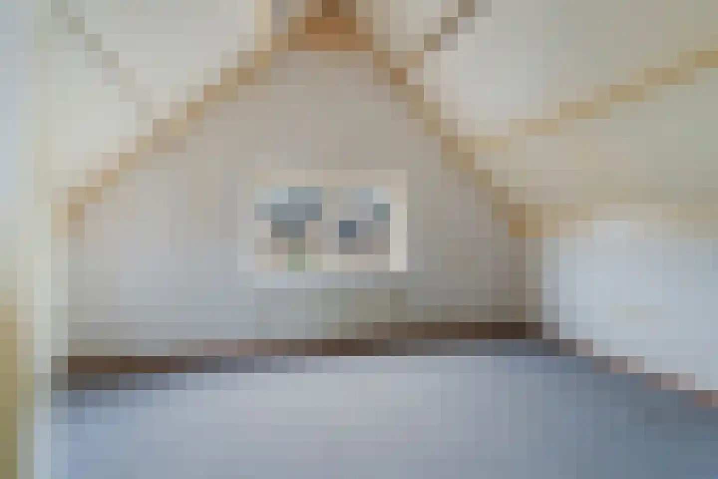 De Rode Haan 5 Soest thumbnail 14