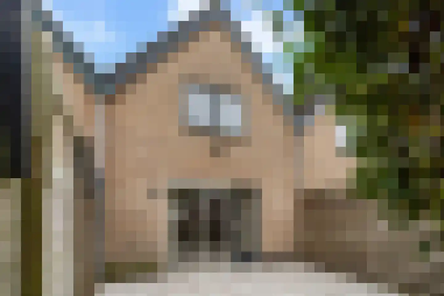 De Rode Haan 5 Soest thumbnail 15