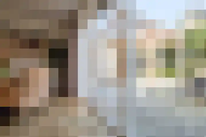 De Rode Haan 7 Soest thumbnail 12