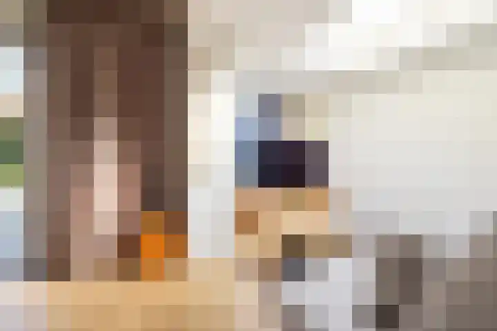 De Rode Haan 7 Soest thumbnail 15