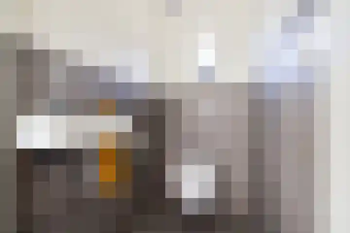 De Rode Haan 7 Soest thumbnail 19