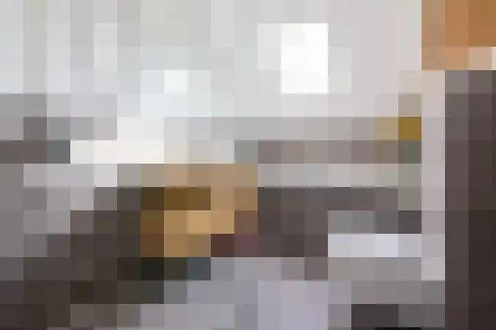 De Rode Haan 7 Soest thumbnail 25
