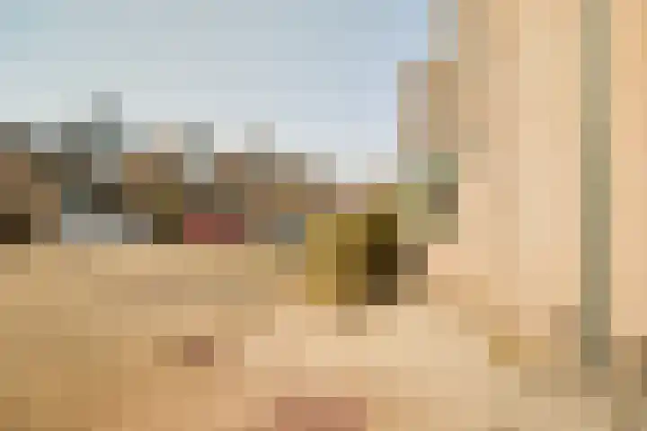 De Rode Haan 7 Soest thumbnail 33