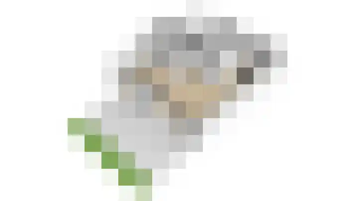De Rode Haan 7 Soest thumbnail 42