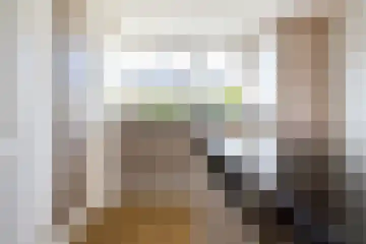 De Rode Haan 7 Soest thumbnail 7