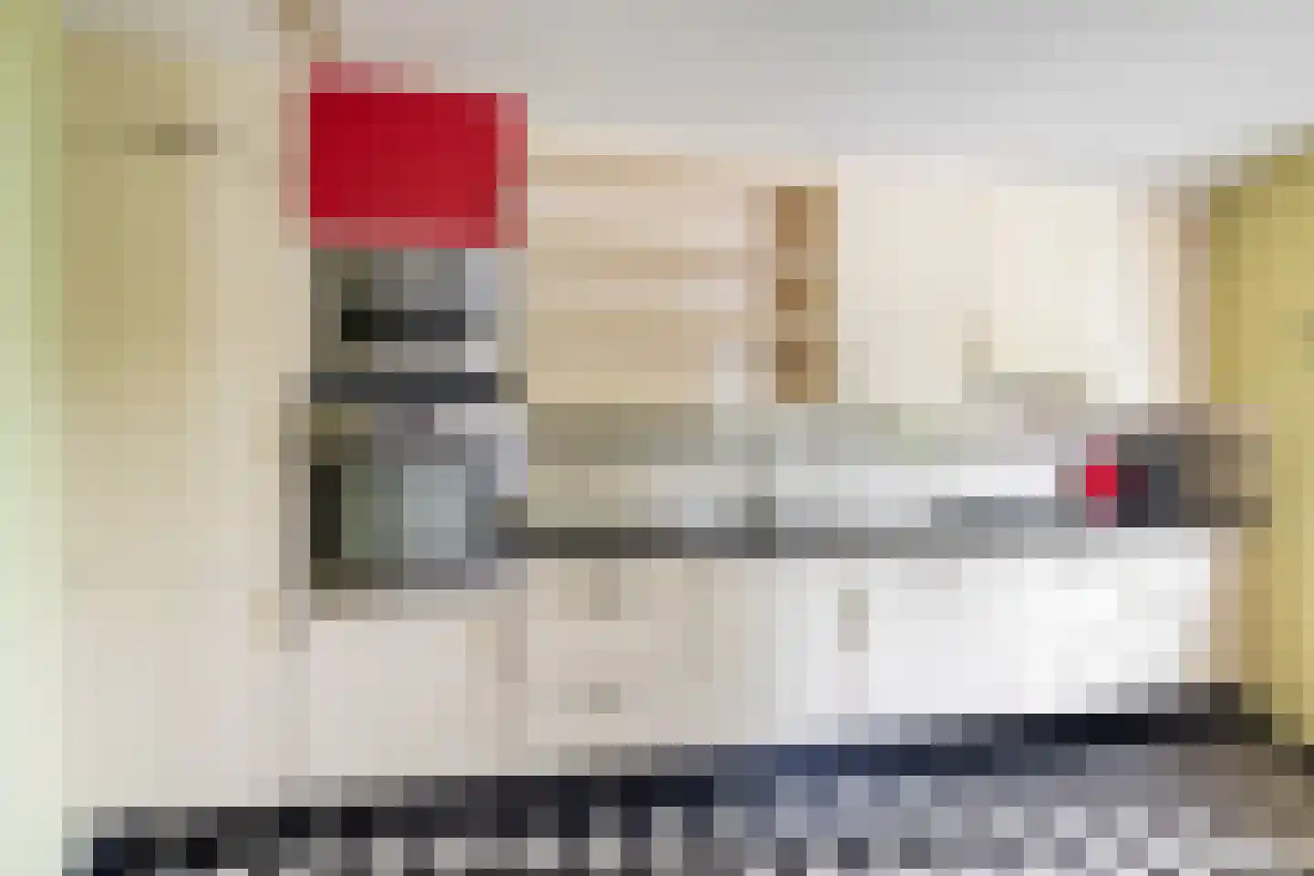 De Rode Leeuw 31 Amersfoort thumbnail 14