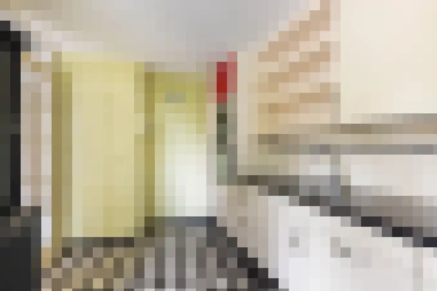 De Rode Leeuw 31 Amersfoort thumbnail 15