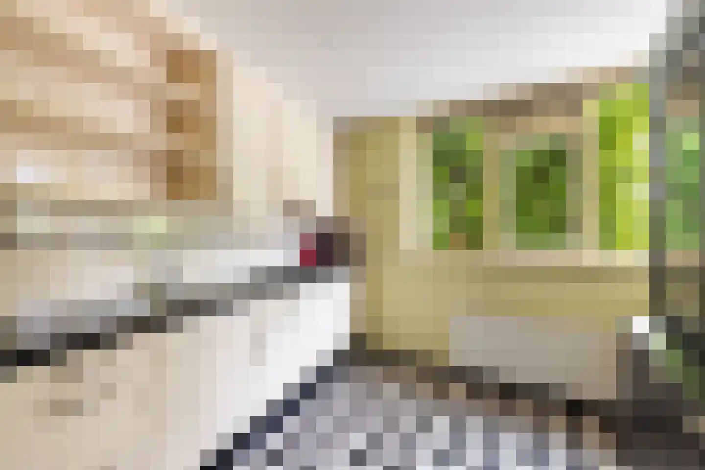 De Rode Leeuw 31 Amersfoort thumbnail 17