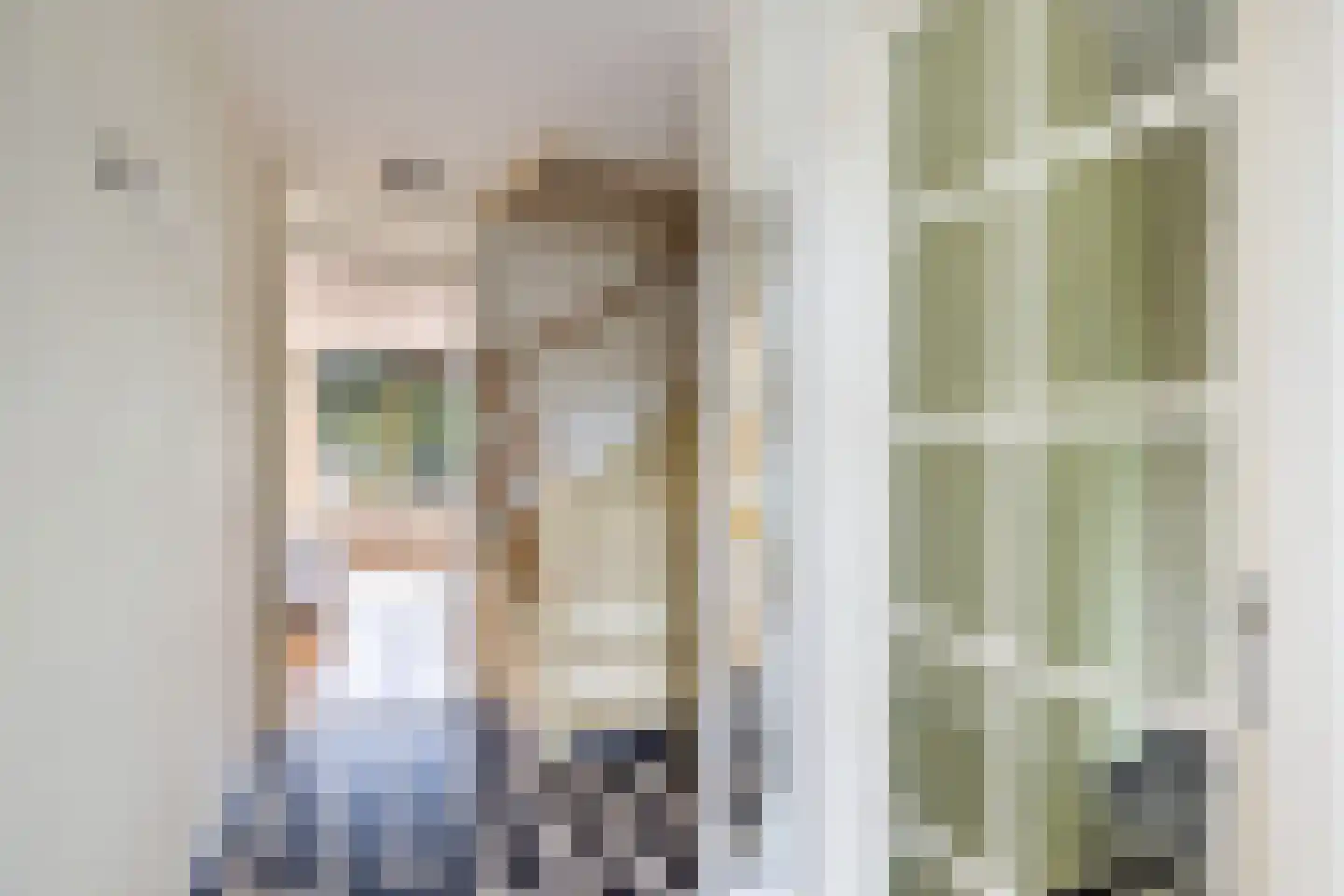 De Rode Leeuw 31 Amersfoort thumbnail 18