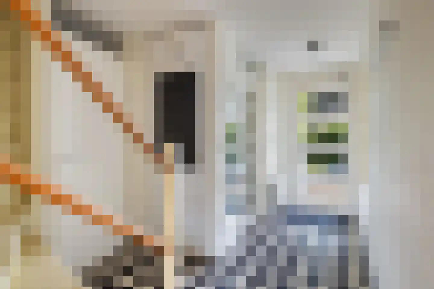 De Rode Leeuw 31 Amersfoort thumbnail 19