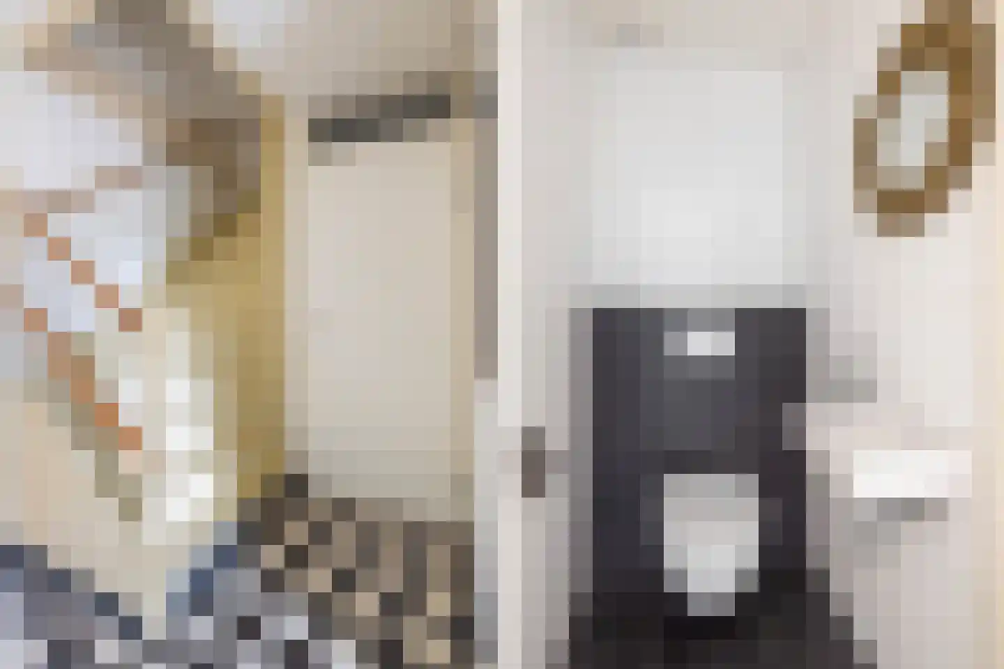 De Rode Leeuw 31 Amersfoort thumbnail 20