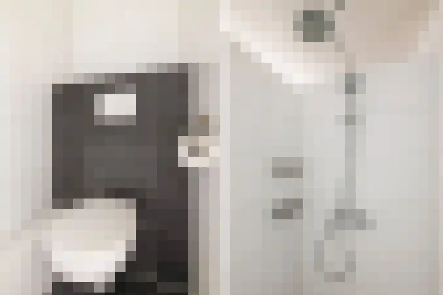 De Rode Leeuw 31 Amersfoort thumbnail 26