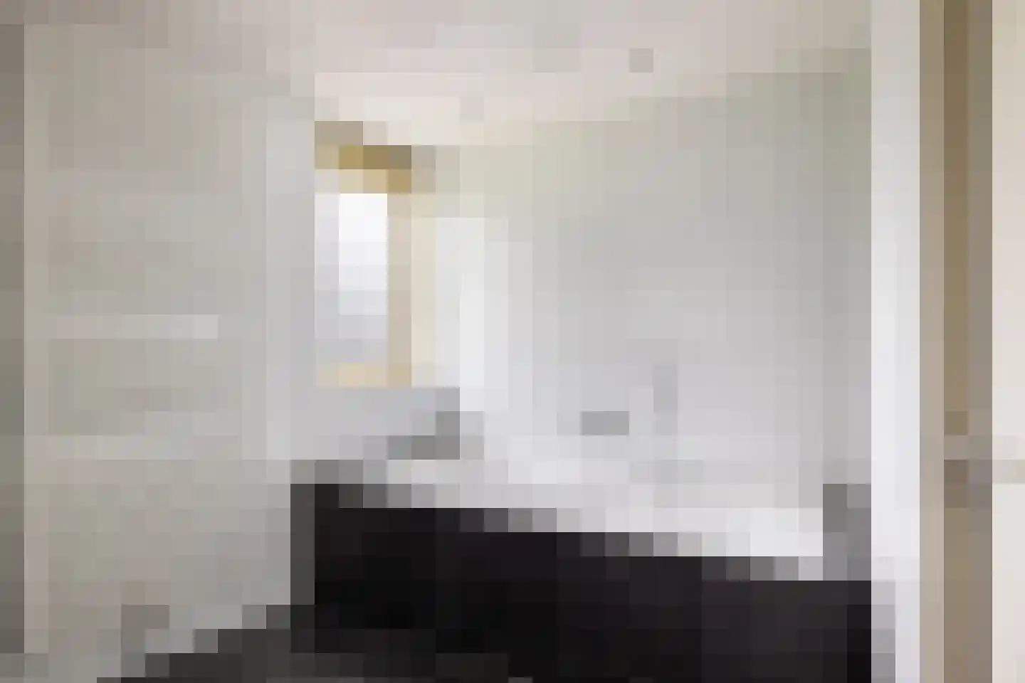 De Rode Leeuw 31 Amersfoort thumbnail 27