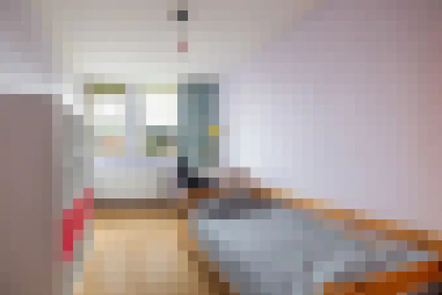 De Rode Leeuw 31 Amersfoort thumbnail 30