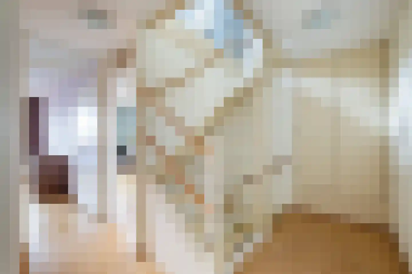 De Rode Leeuw 31 Amersfoort thumbnail 32