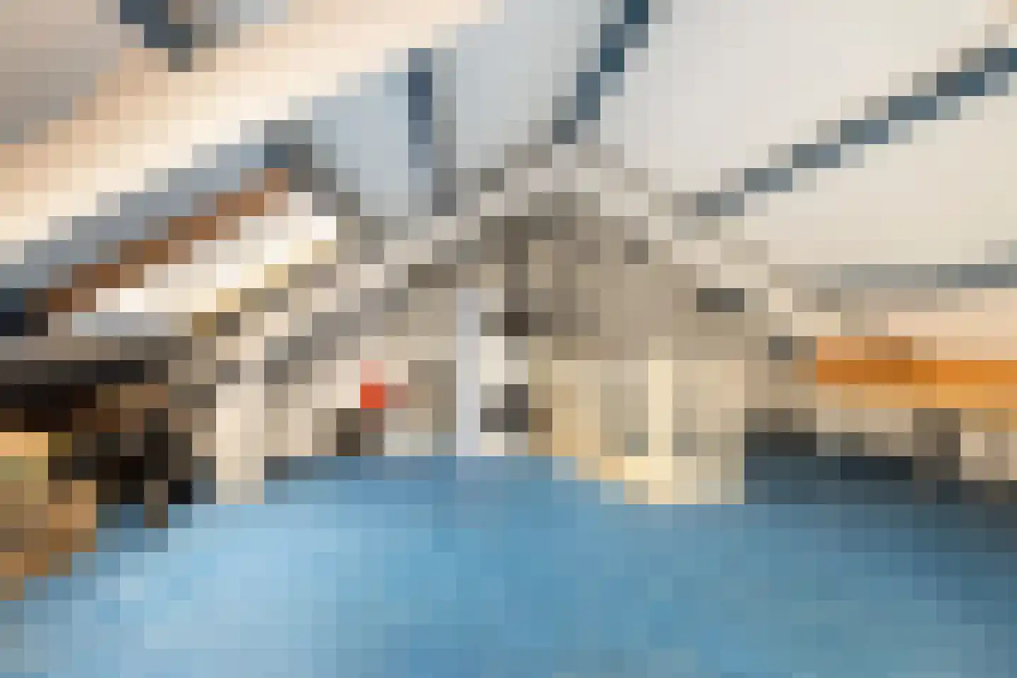 De Rode Leeuw 31 Amersfoort thumbnail 35