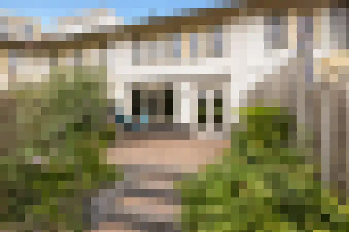 De Rode Leeuw 31 Amersfoort thumbnail 39
