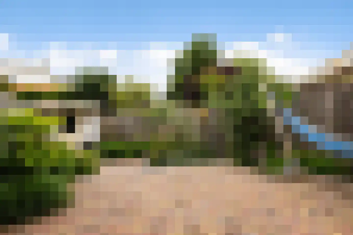 De Rode Leeuw 31 Amersfoort thumbnail 40