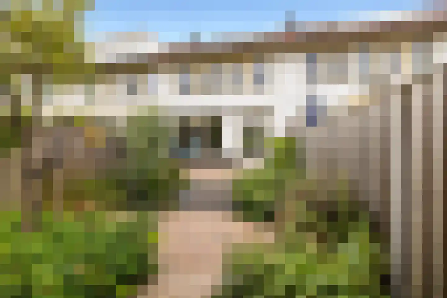 De Rode Leeuw 31 Amersfoort thumbnail 41