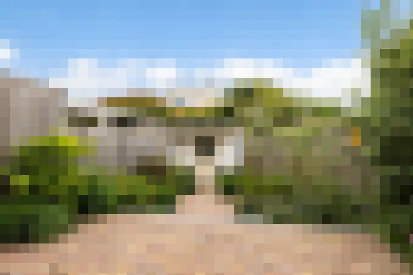 De Rode Leeuw 31 Amersfoort thumbnail 42